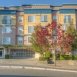 Main picture of Condominium for rent in Bellevue, WA